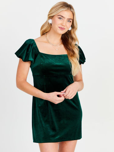 Aldrin Velvet Dress