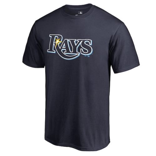Tampa Bay Rays Team Color Primary Logo T-Shirt - Navy