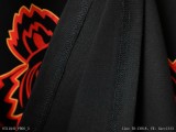 Kenzo 老虎頭 短袖T恤 短T 上衣 情侶裝 新款短袖M3XL0402