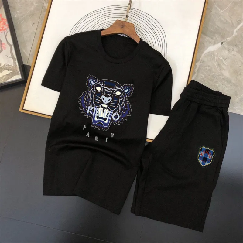 新款短套装