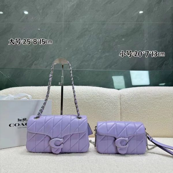 COACH 25cm master