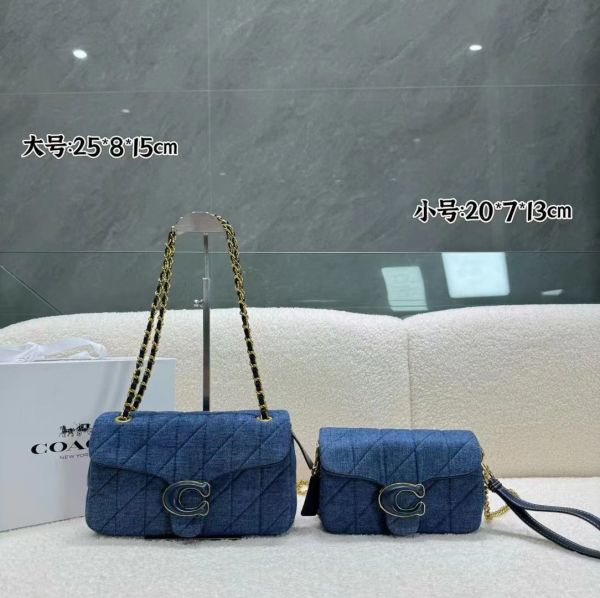 COACH 25cm master
