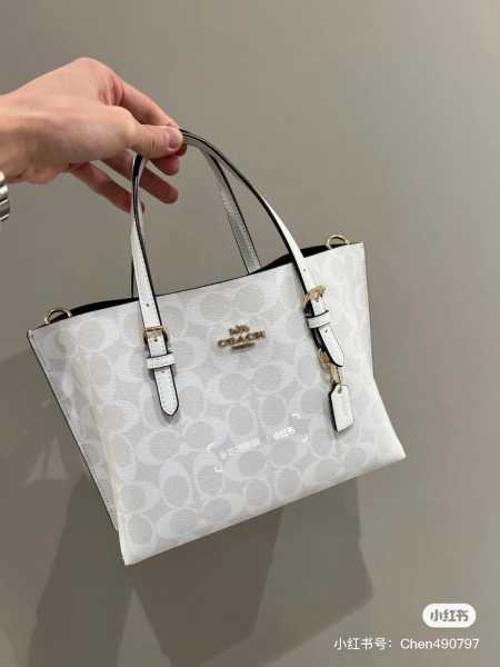 COACH 25CM