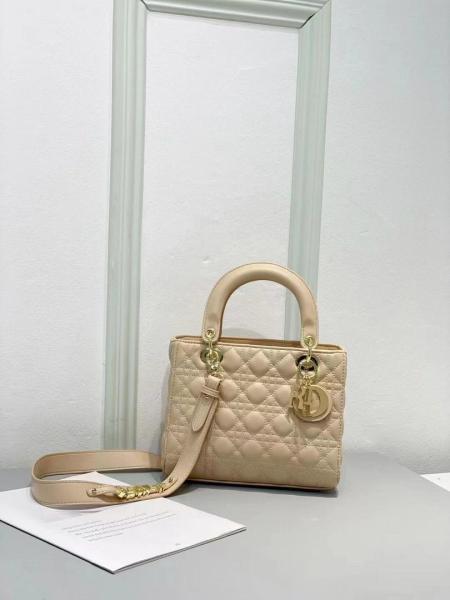 DIOR 24CM
