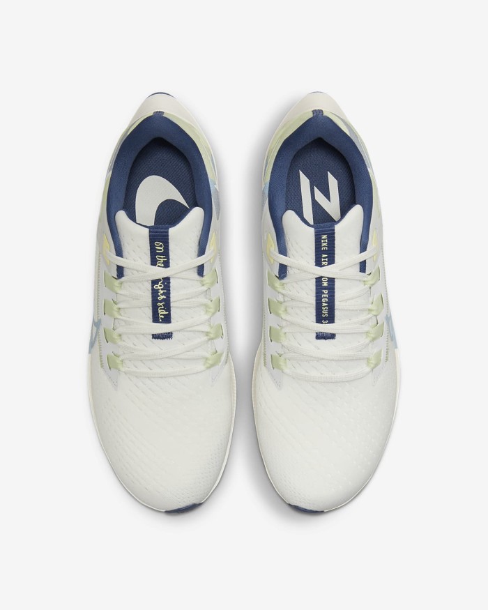Nike Air Zoom Pegasus 38 women's running shoes