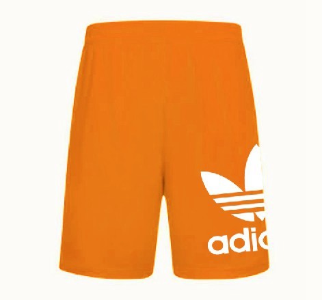 Adidas Beach Shorts