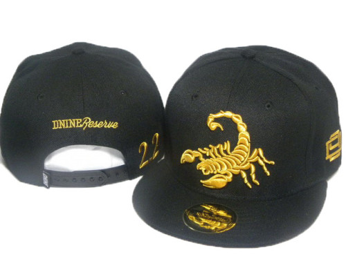 D9 Reserve Brand Hats