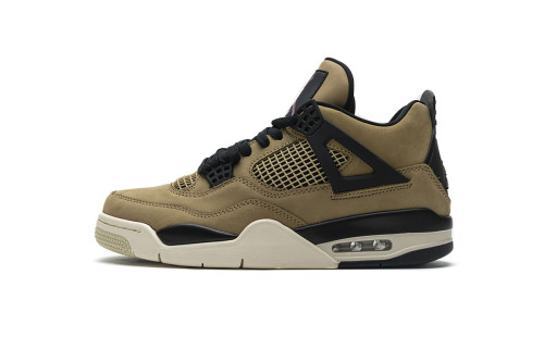 LJR Air Jordan 4 Retro Fossil (W) AQ9129-200