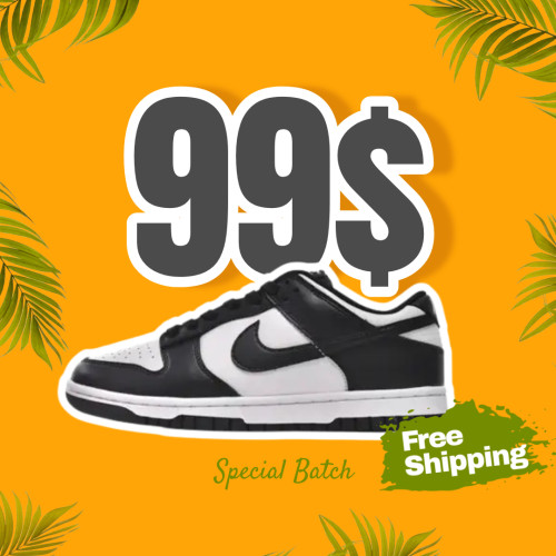 Free Shipping Nike Dunk Low Black White DD1503-101