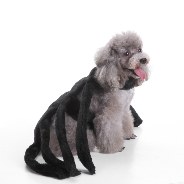 Costume d'animal de Compagnie pour Chien Chat Déguisement Costume Halloween