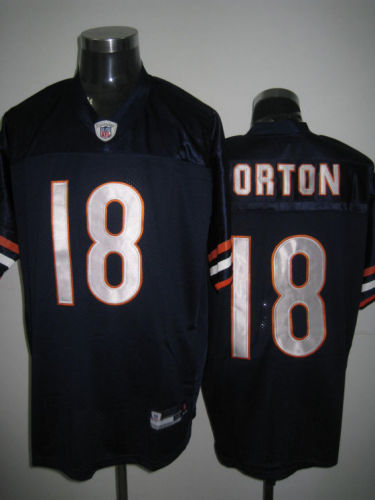 NFL Chicago Bears-033