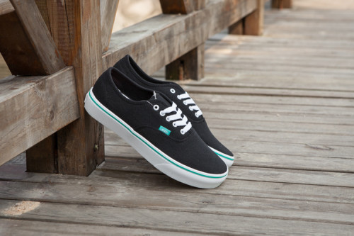 Vans Era Low Top Shoes-117