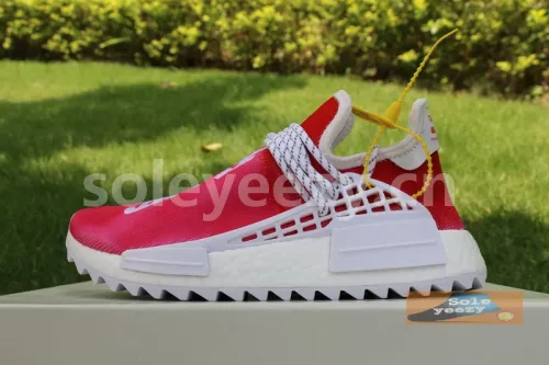 Authentic Pharrell x AD NMD Passion