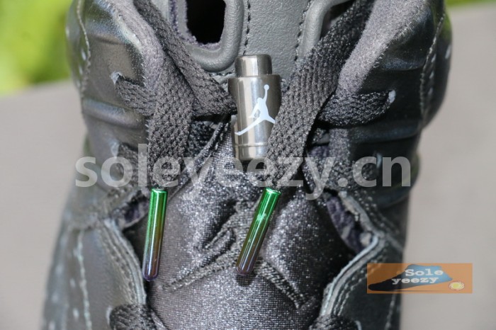 Authentic Air Jordan 6 “Chameleon”