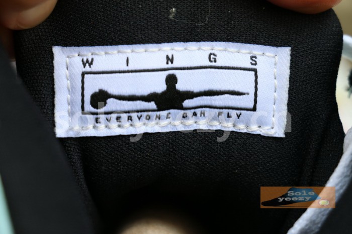 Authentic Air Jordan 5 “Wings”