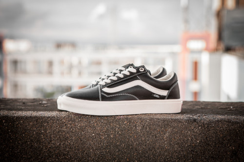 Vans Era Low Top Shoes-145