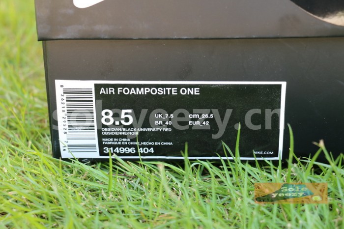 Authentic Nike Air Foamposite One “Denim”