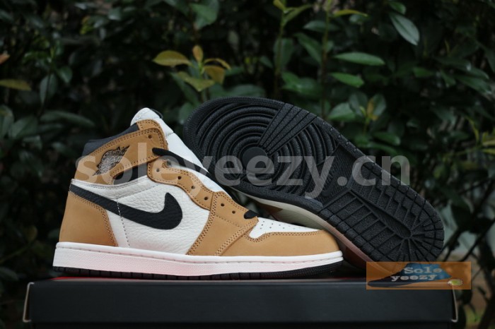 Authentic Air Jordan 1 “Rookie of the Year”