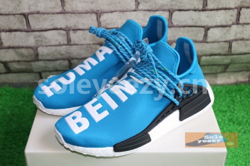 Authentic AD Human Race NMD x Pharrell Williams Blue