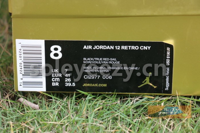 Authentic Air Jordan 12 “CNY” 2019