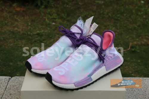 Authentic Pharrell x  AD NMD Hu Trail Special