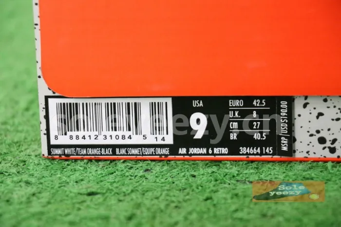 Authentic Air Jordan 6 “Gatorade”