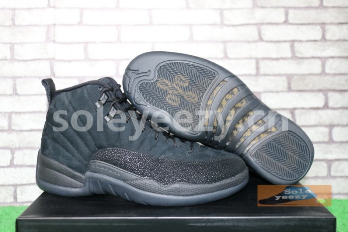 Authentic Air Jordan 12 OVO Black