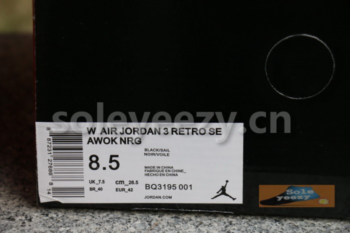 Authentic  Vogue x Air Jordan 3 “AWOK” Black