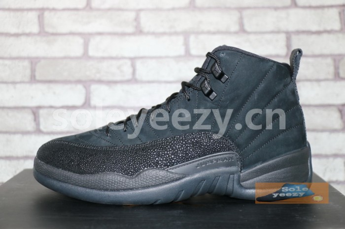 Authentic Air Jordan 12 OVO Black