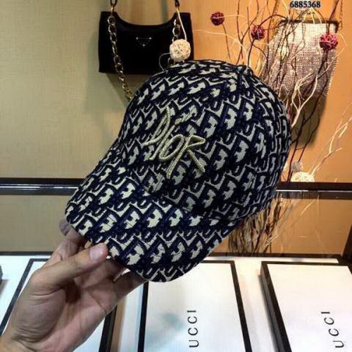 Dior Hats AAA-149