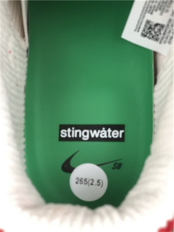 Authentic Stingwater x Nike SB Dunk