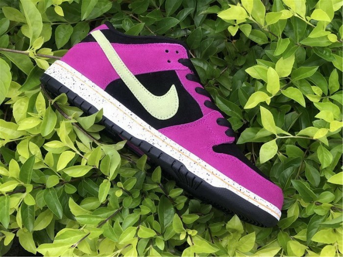Authentic Nike SB Dunk Low“Red Plum”