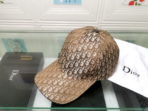 Dior Hats AAA-068