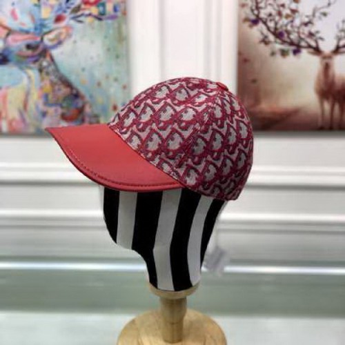 Dior Hats AAA-341