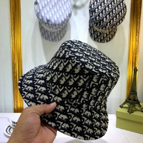 Dior Hats AAA-109
