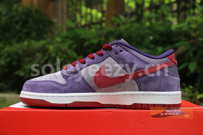 Authentic Nike Dunk Low “Plum”