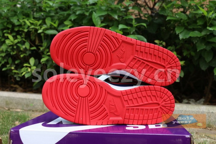 Authentic Nike Dunk Low “Samba”