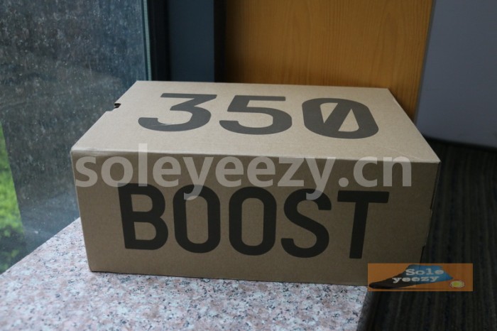 Authentic Yeezy Boost 350 V2 “ANTLIA” （full reflective）