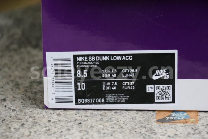 Authentic  Nike SB Dunk Low “ACG”