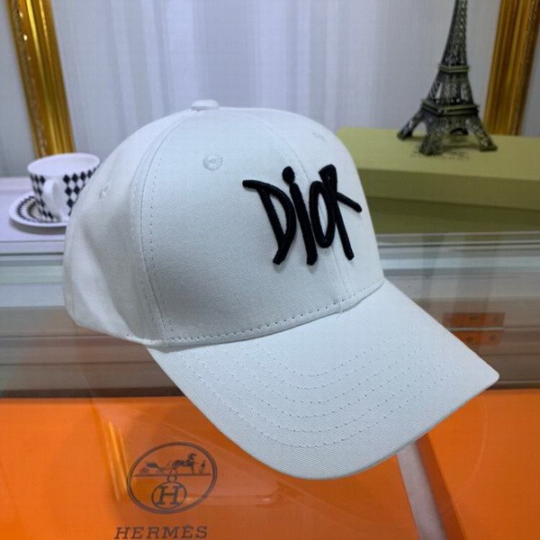 Dior Hats AAA-085