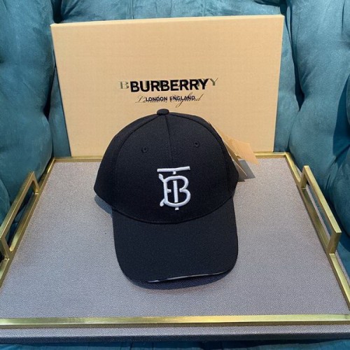 Burrerry Hats AAA-295