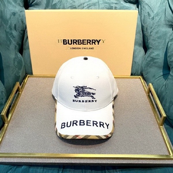 Burrerry Hats AAA-290