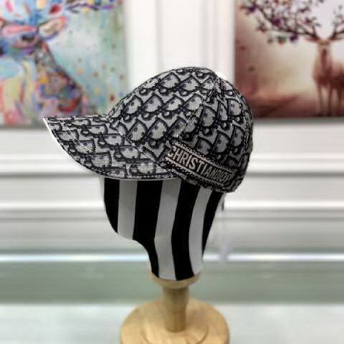 Dior Hats AAA-344