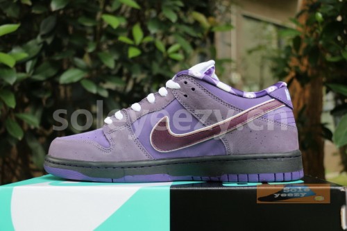 Authentic Nike Dunk SB Concepts Purple Lobster