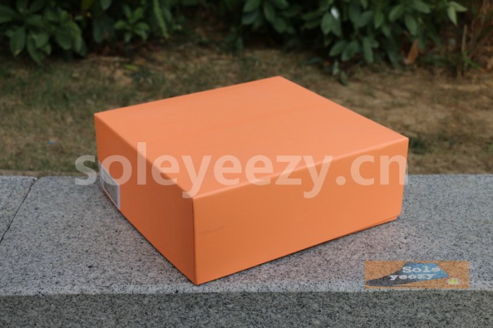 Authentic Nike Air Fear of God 1 Orange