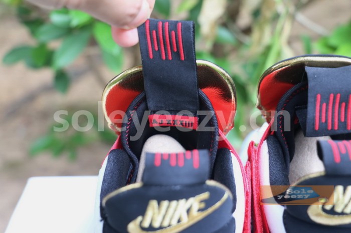Authentic Air Jordan 33 “Future Flight”