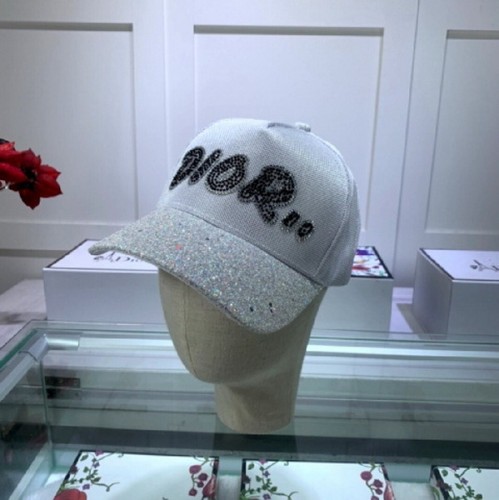 Dior Hats AAA-106