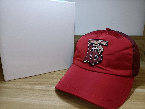 Burrerry Hats AAA-363