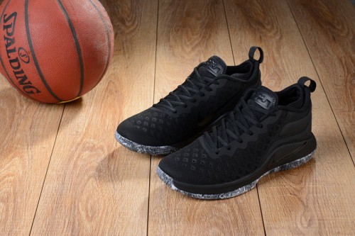 Nike LeBron James 2.5 shoes-009