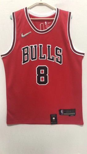 NBA Chicago Bulls-329